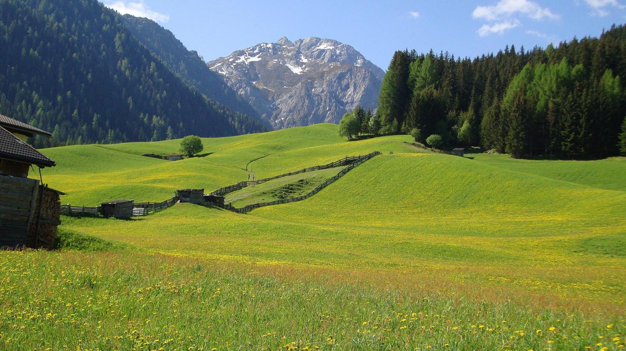 Haus Annemarie Apartments Kartitsch - Hochpustertal Buitenkant foto