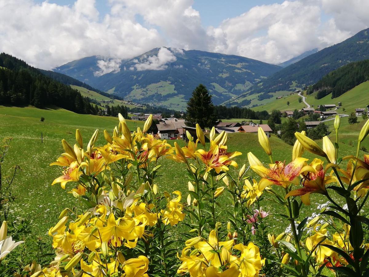 Haus Annemarie Apartments Kartitsch - Hochpustertal Buitenkant foto